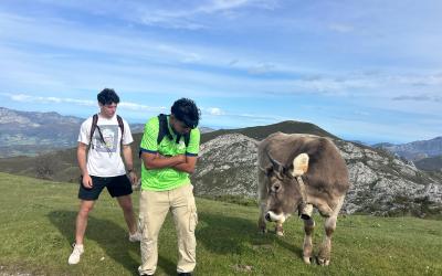 Two college students posing next to a cow in the countryside. 